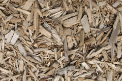 biomass boilers Bryncethin